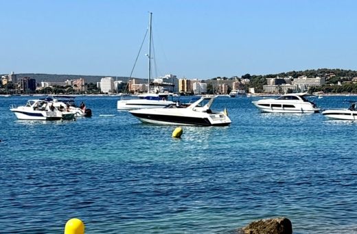 Palma de Majorque Motorboat Sunseeker Apache 45 alt tag text