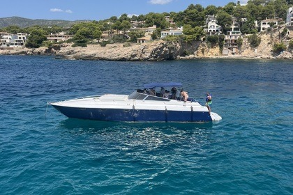 Miete Motorboot Bruno Abbate Primatist Palma de Mallorca