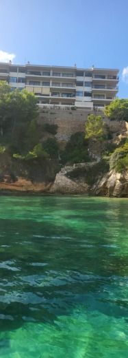 Maiorca Without license Quicksilver 505 alt tag text