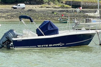 Miete Motorboot White Shark 225 Dinard