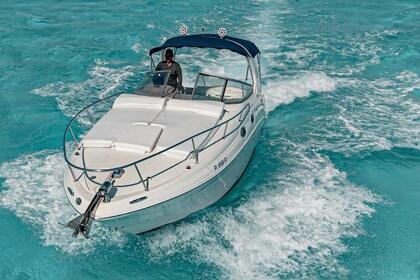 Noleggio Barca a motore Sea Ray Sundancer 2010 Cancún