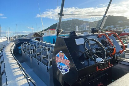 Rental RIB Work ribs holland Rib boat Sint Maarten