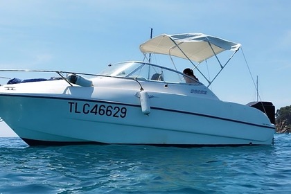 Miete Motorboot Sessa Marine Islamorada 19 Sainte-Maxime