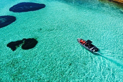 Miete Motorboot Polaris 7 metri Polaris La Maddalena