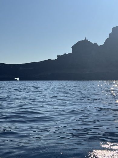 Thera Without license OLYMPIC SX 490 alt tag text