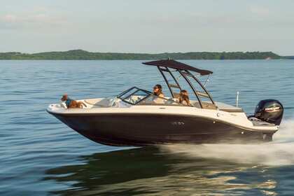 Charter Motorboat Sea Ray 190 Spx Rovinj