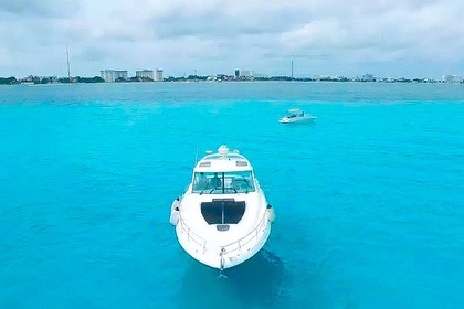 Miete Motorboot Sea Ray Sundacer 50 Cancún
