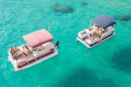 Alquiler Barco sin licencia  Sunchaser Pontoon Arguineguin