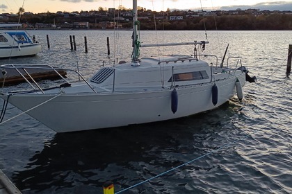 Miete Segelboot Foxhound 24 Sonderburg