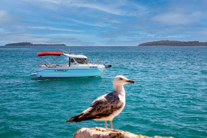 Charter Motorboat Arvor Arvor 25 Fažana