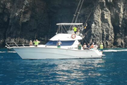 Hire Motorboat Rodman 1250 Santa Cruz de Tenerife