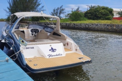 Location Bateau à moteur Euro Boats Euro 260 Armação dos Búzios