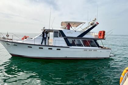 Location Yacht à moteur Bayliner 4588 Agadir