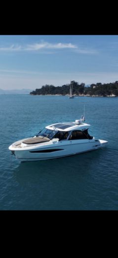 Motorboat GREENLINE NEO Planta da embarcação