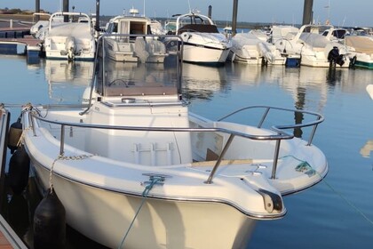 Rental Motorboat White Shark 205 Ayamonte