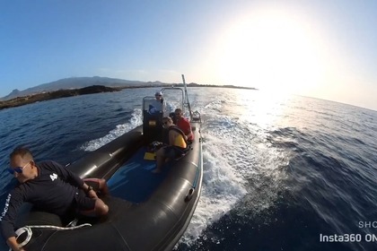 Miete Motorboot ASTEC PRO600 Las Galletas