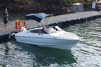 Charter Motorboat REAL 29 Furnas