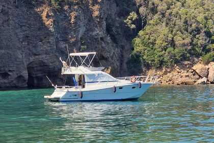 Verhuur Motorboot Ars monaco 31 fly Bocca di Magra, La Spezia