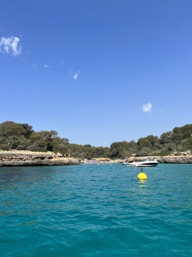 Portocolom Without license Silver yacht Silver 495 alt tag text