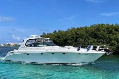 Чартер Моторная яхта Sea Ray 60 Канкун