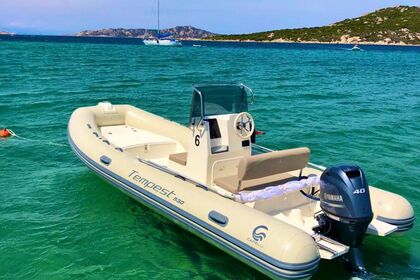 Charter RIB Capelli Capelli Tempest 530 Palau