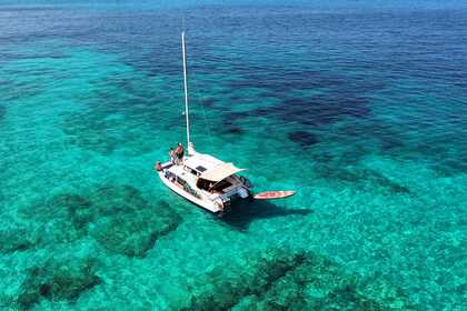 Charter Catamaran J.K Pipe & Sons LTD BobCat Catamaran 8M Sant Francesc Xavier