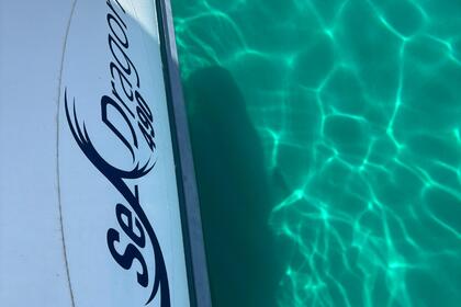 Noleggio Barca senza patente  Alghero Sea Dragon Alghero