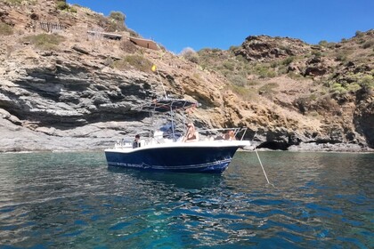 Location Bateau à moteur Kelt White Shark 205 Empuriabrava