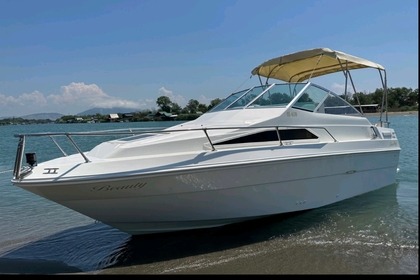 Rental Motorboat Sea Ray Cudy cabin Bar