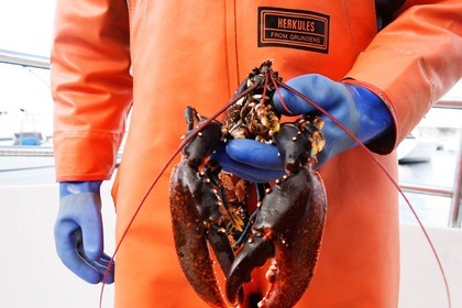 Miete Motorboot Stigfjord 37 Fjällbacka