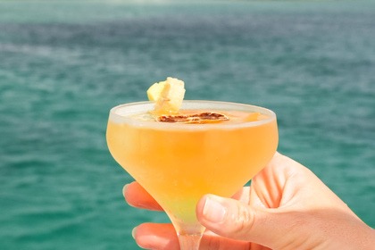 Rental Catamaran Lagoon 450 S Saint Martin