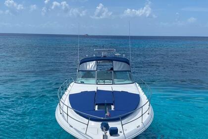 Rental Motorboat Sea Ray 41 Cozumel