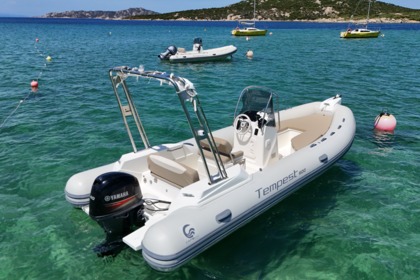 Hire RIB Capelli Capelli Tempest 600 Porto Pollo