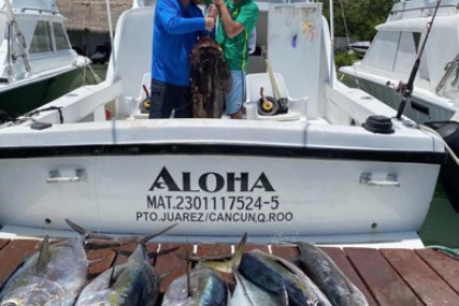 Alquiler Lancha Bertram 31 Cancún