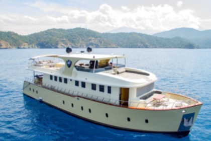 Charter Motor yacht . Trawler Fethiye