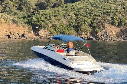 Charter Motorboat Sea Ray Sundeck 240 M'diq