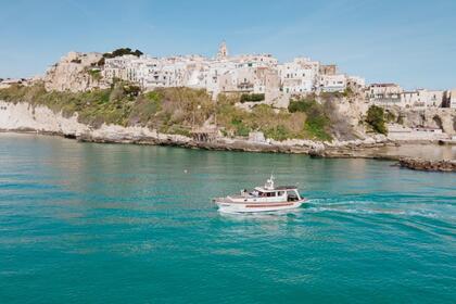 Miete Motorboot Viro mare Gozzo Vieste