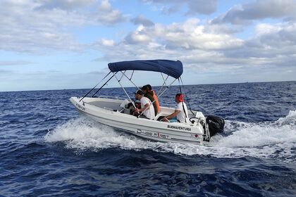Rental Boat without license  Dipol D-First 400 Las Galletas