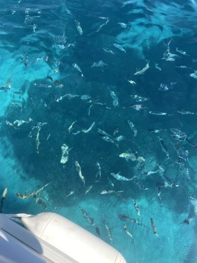 Лефкас Without license IONION 5 alt tag text