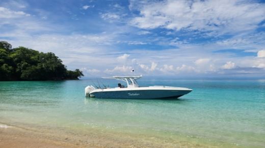 Motorboat Todomar 38 boat plan