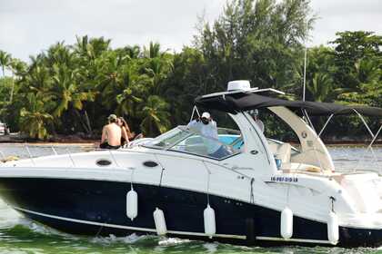 Alquiler Lancha Sea Ray 340 Bávaro