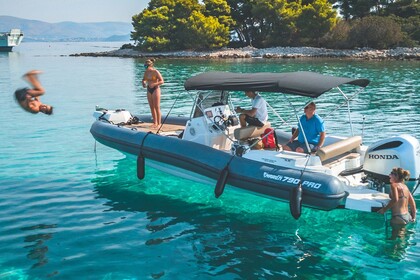 Rental RIB Marlin 790 Dynamic Gray Split