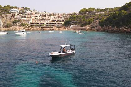 Rental Motorboat i3 Custom Built Mallorca