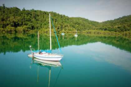 Miete Segelboot westerly conway 36 Paraty