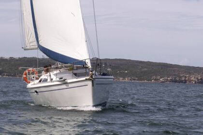 Charter Sailboat Catalina 31 Sydney