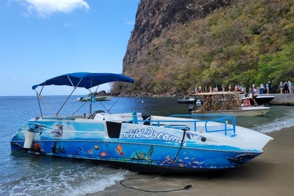 Rental Motorboat Bayliner Rendezvous Castries