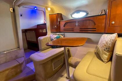 Rental Motorboat Sea Ray 335 Sundancer Isla Mujeres