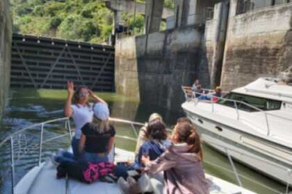 Aluguel Lancha Sessa Marine OYESTER 35 Pinhão