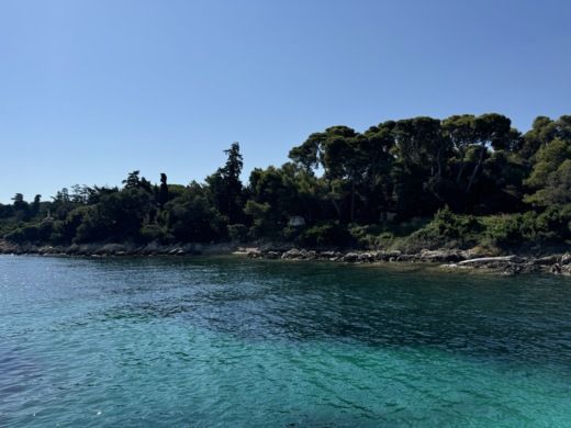 Mandelieu-La Napoule Catamaran Lagoon Lagoon 450 S alt tag text