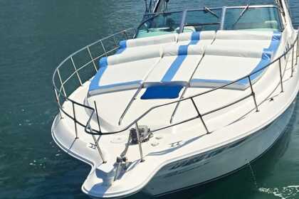 Charter Motorboat Sea Ray 400 Sun Sport Puerto Vallarta